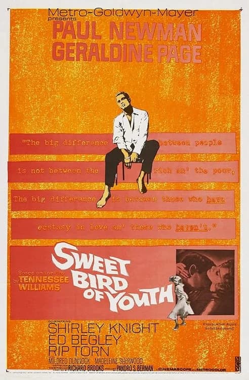 Sweet Bird of Youth film posteri